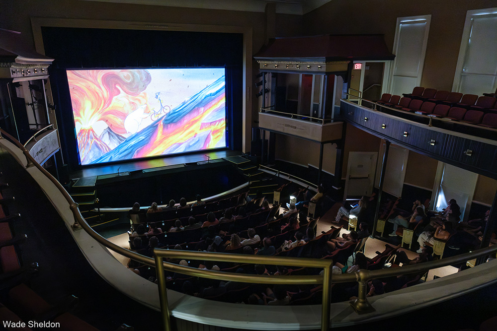 Gallery photo