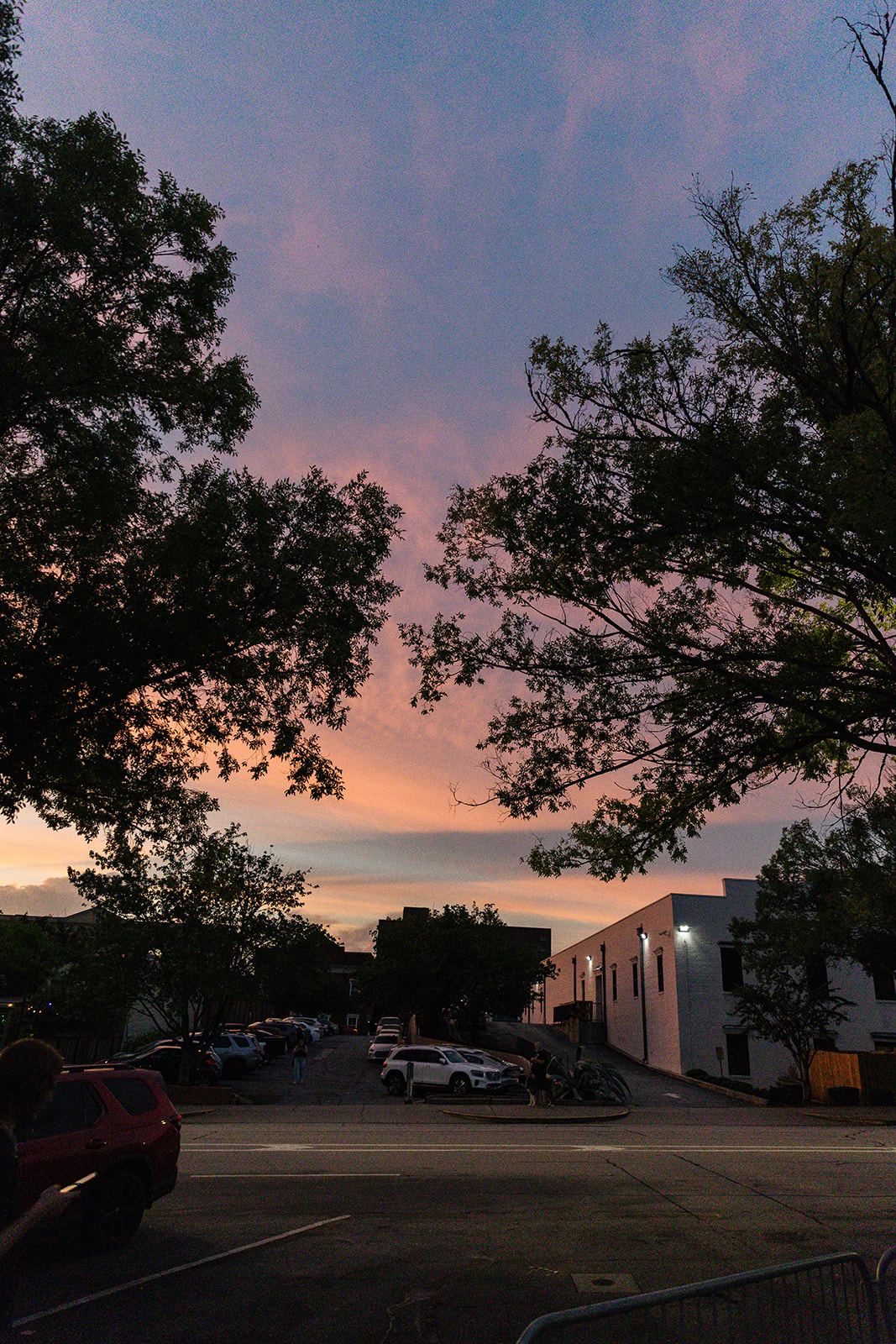 Gallery photo 2026